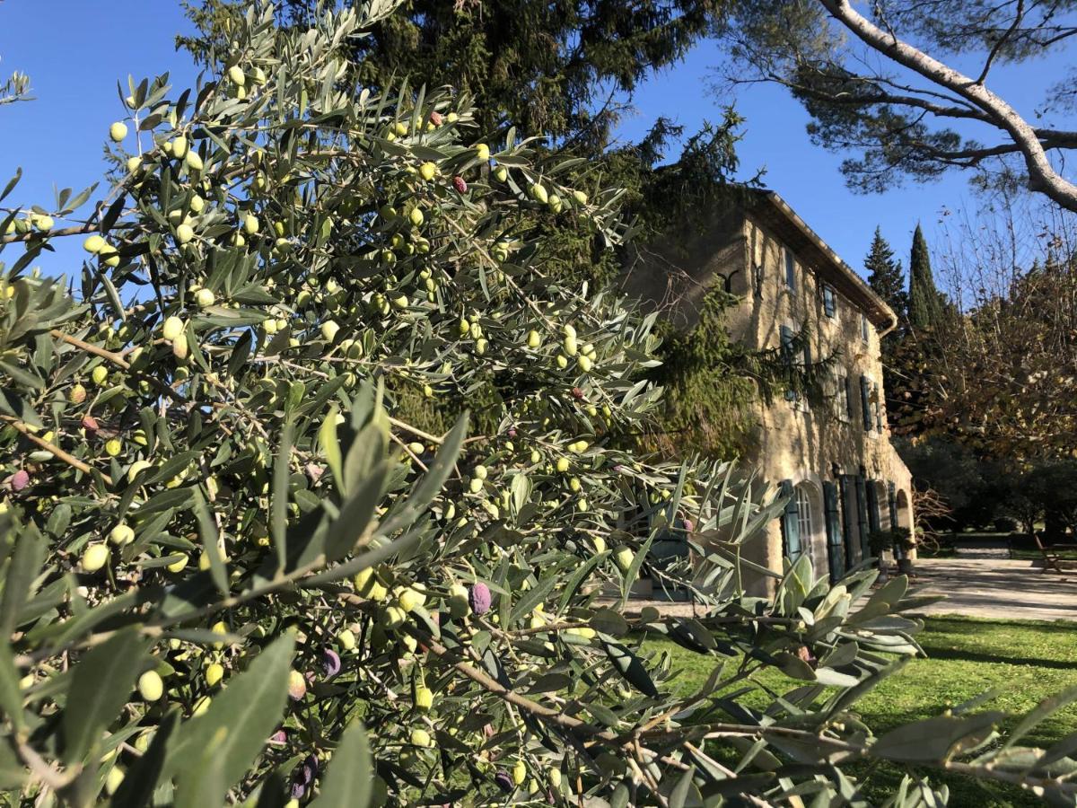 Desir De Provence Bed & Breakfast Sarrians Dış mekan fotoğraf